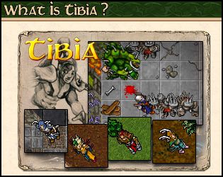 What is Tibia?