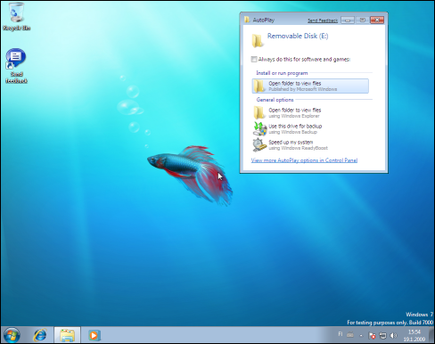 Windows 7, Downadup Autorun.inf