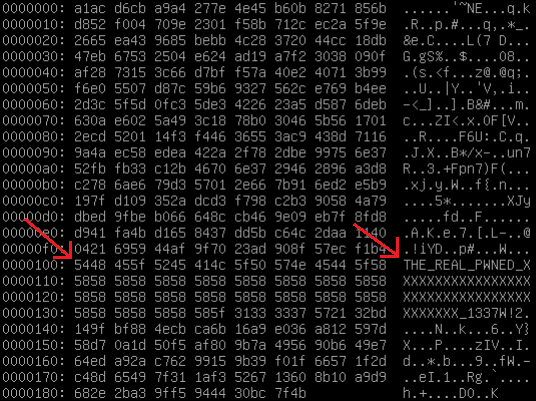 File encrypted by SynoLocker, as viewed in a hex editor